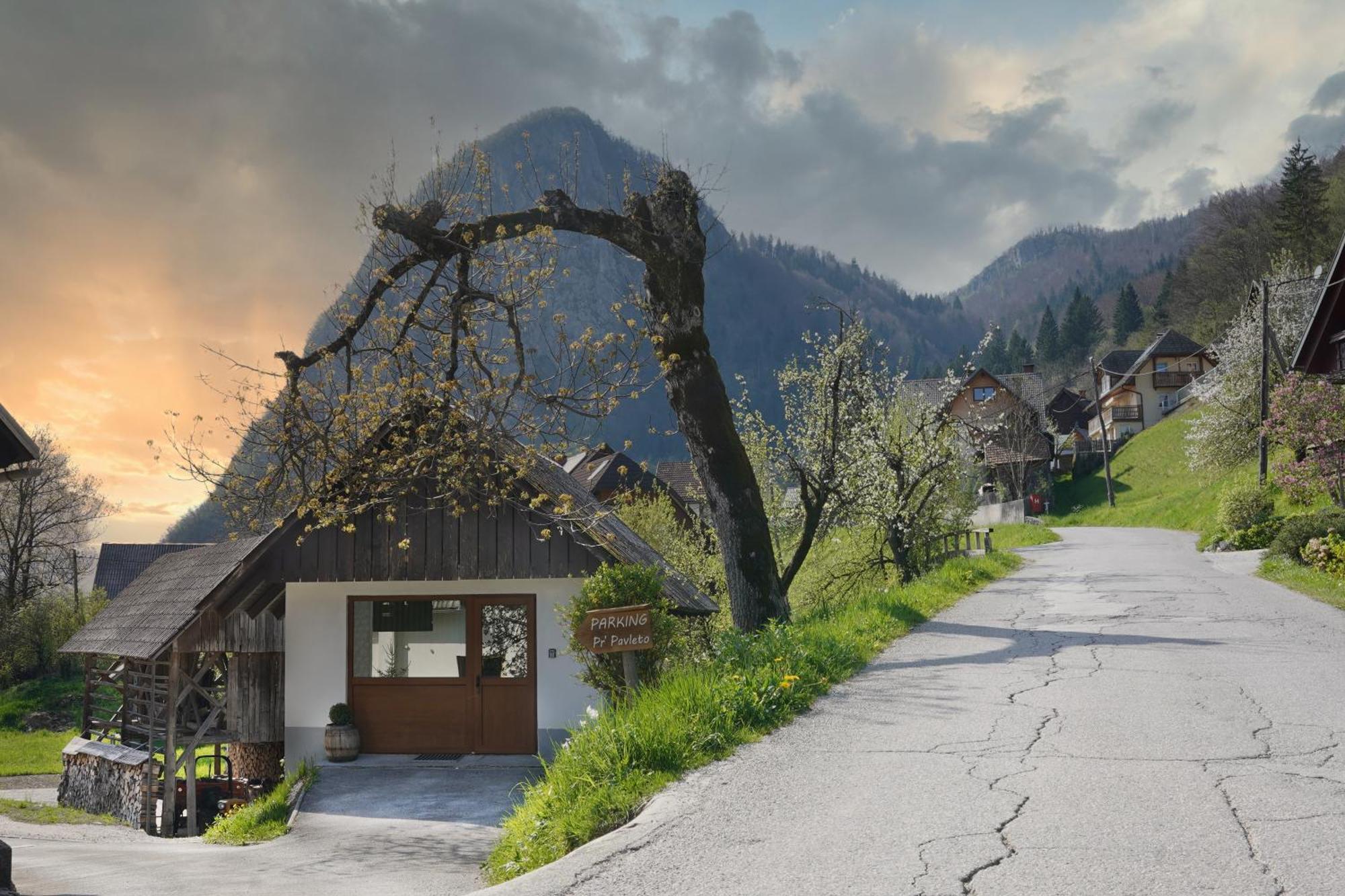 Apartments Pr' Pavleto Bohinj Exterior foto